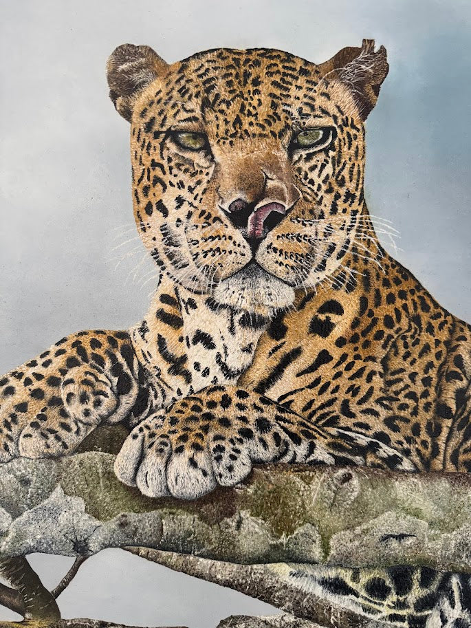 "The Scars of Life" Limited Edition Canvas Print
