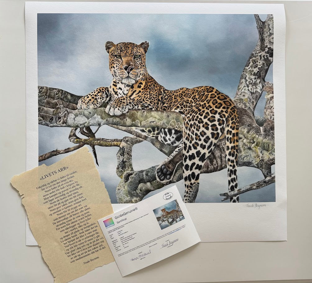 "Life's Scars" Art paper print in limited edition