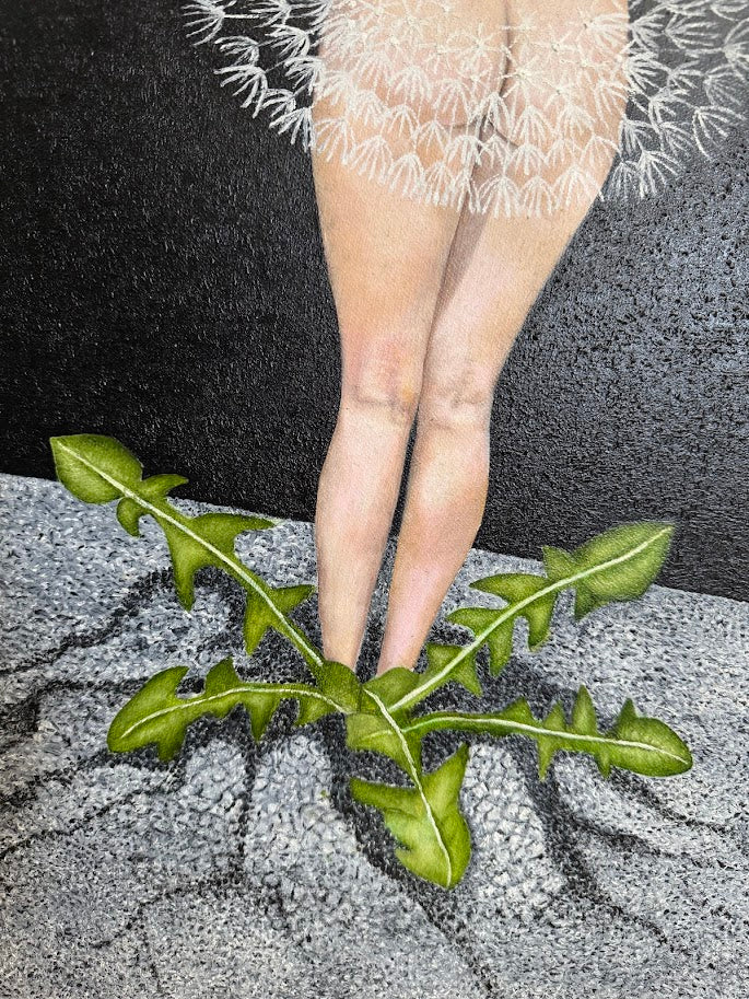 "Dandelion Child" Limited Edition Canvas Print
