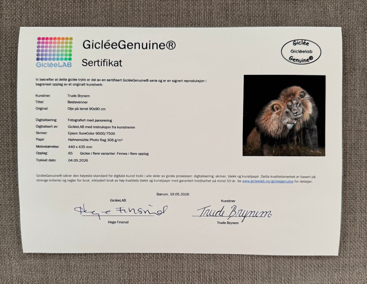 "Bestevenner" Kunstpapir trykk i begrenset opplag